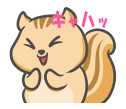 Funny squirrel sticker #5682018