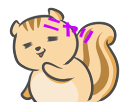 Funny squirrel sticker #5682029