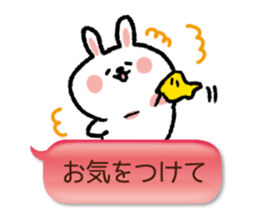 HUKIDASHIUSAGI2 sticker #5682132