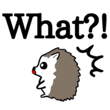 Harilyn Hedgehog. English Version. sticker #5685953