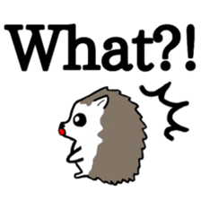 Harilyn Hedgehog. English Version. sticker #5685953