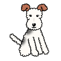SHUKO, the wire fox terrier