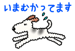 SHUKO, the wire fox terrier sticker #5686573
