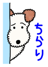 SHUKO, the wire fox terrier sticker #5686580