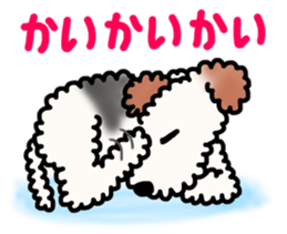 SHUKO, the wire fox terrier sticker #5686591