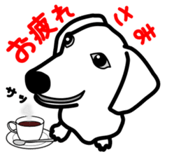 Dachs4 sticker #5688998