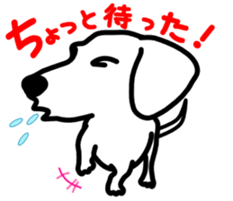 Dachs4 sticker #5689018