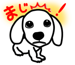 Dachs4 sticker #5689032