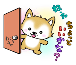 Pochi & Taro sticker #5689362