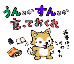 Pochi & Taro sticker #5689368