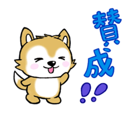 Pochi & Taro sticker #5689380