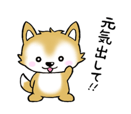 Pochi & Taro sticker #5689383