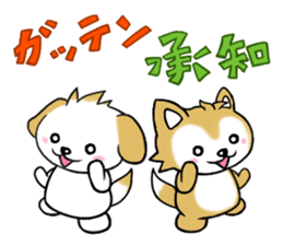 Pochi & Taro sticker #5689395