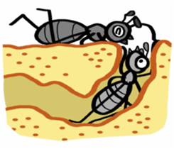 Ants! <summer vacation and fall> sticker #5689926