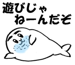 kawaii cute seal sticker #5692169