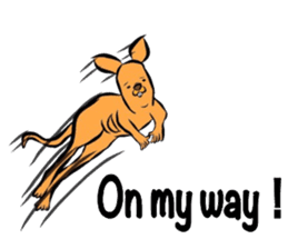 REAL Kangaroo Sticker (English) sticker #5693343