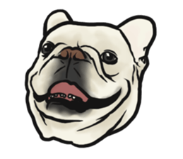 French Bulldog "BULLO" 4 sticker #5695756