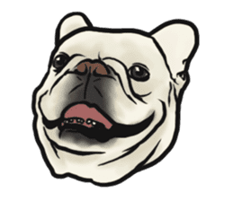 French Bulldog "BULLO" 4 sticker #5695756