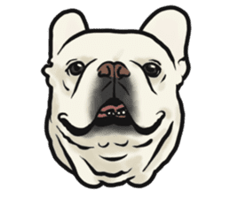 French Bulldog "BULLO" 4 sticker #5695757