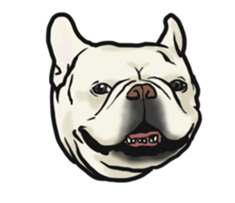 French Bulldog "BULLO" 4 sticker #5695758