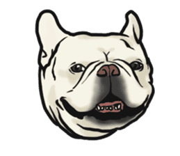 French Bulldog "BULLO" 4 sticker #5695758