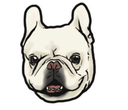 French Bulldog "BULLO" 4 sticker #5695759