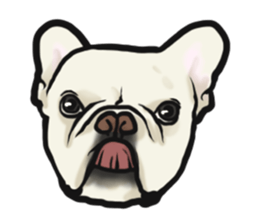 French Bulldog "BULLO" 4 sticker #5695760