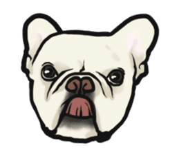 French Bulldog "BULLO" 4 sticker #5695760