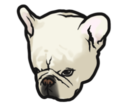 French Bulldog "BULLO" 4 sticker #5695765