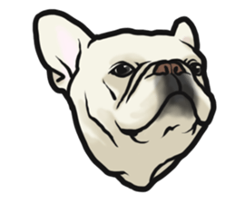 French Bulldog "BULLO" 4 sticker #5695766