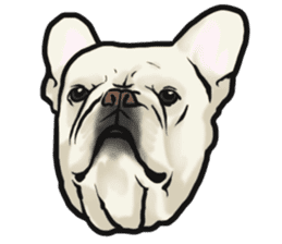 French Bulldog "BULLO" 4 sticker #5695768