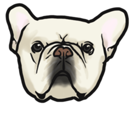 French Bulldog "BULLO" 4 sticker #5695770