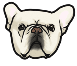 French Bulldog "BULLO" 4 sticker #5695770
