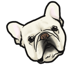 French Bulldog "BULLO" 4 sticker #5695771