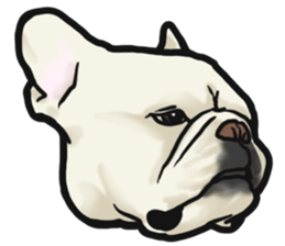 French Bulldog "BULLO" 4 sticker #5695775