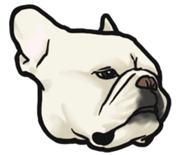 French Bulldog "BULLO" 4 sticker #5695775