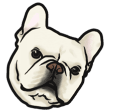 French Bulldog "BULLO" 4 sticker #5695778
