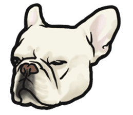 French Bulldog "BULLO" 4 sticker #5695779