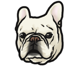 French Bulldog "BULLO" 4 sticker #5695780