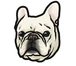 French Bulldog "BULLO" 4 sticker #5695780