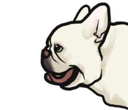 French Bulldog "BULLO" 4 sticker #5695787