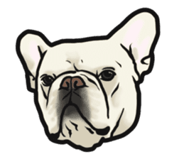 French Bulldog "BULLO" 4 sticker #5695788