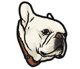 French Bulldog "BULLO" 4 sticker #5695789