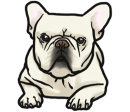French Bulldog "BULLO" 4 sticker #5695792