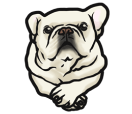 French Bulldog "BULLO" 4 sticker #5695794