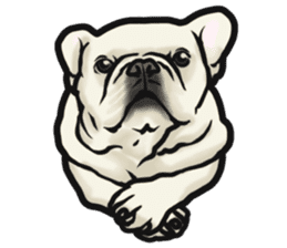 French Bulldog "BULLO" 4 sticker #5695794