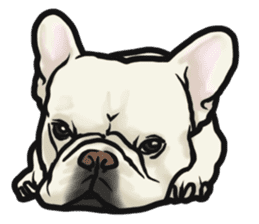 French Bulldog "BULLO" 4 sticker #5695795