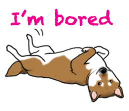 Shiba inu and friends in English sticker #5697078