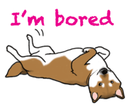 Shiba inu and friends in English sticker #5697078