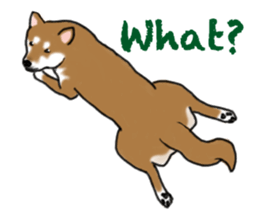 Shiba inu and friends in English sticker #5697079